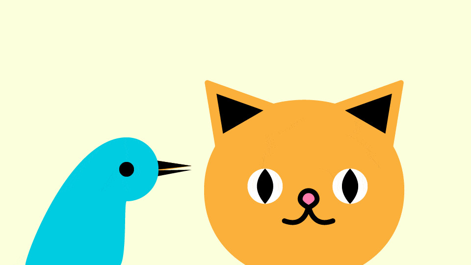 blinky-cat-bird