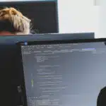 Les secrets pour décrocher un emploi dans le secteur de l'informatique